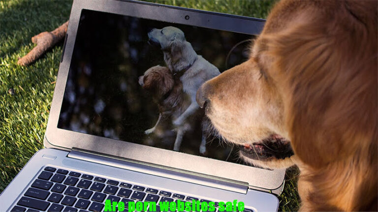 Are porn websites safe